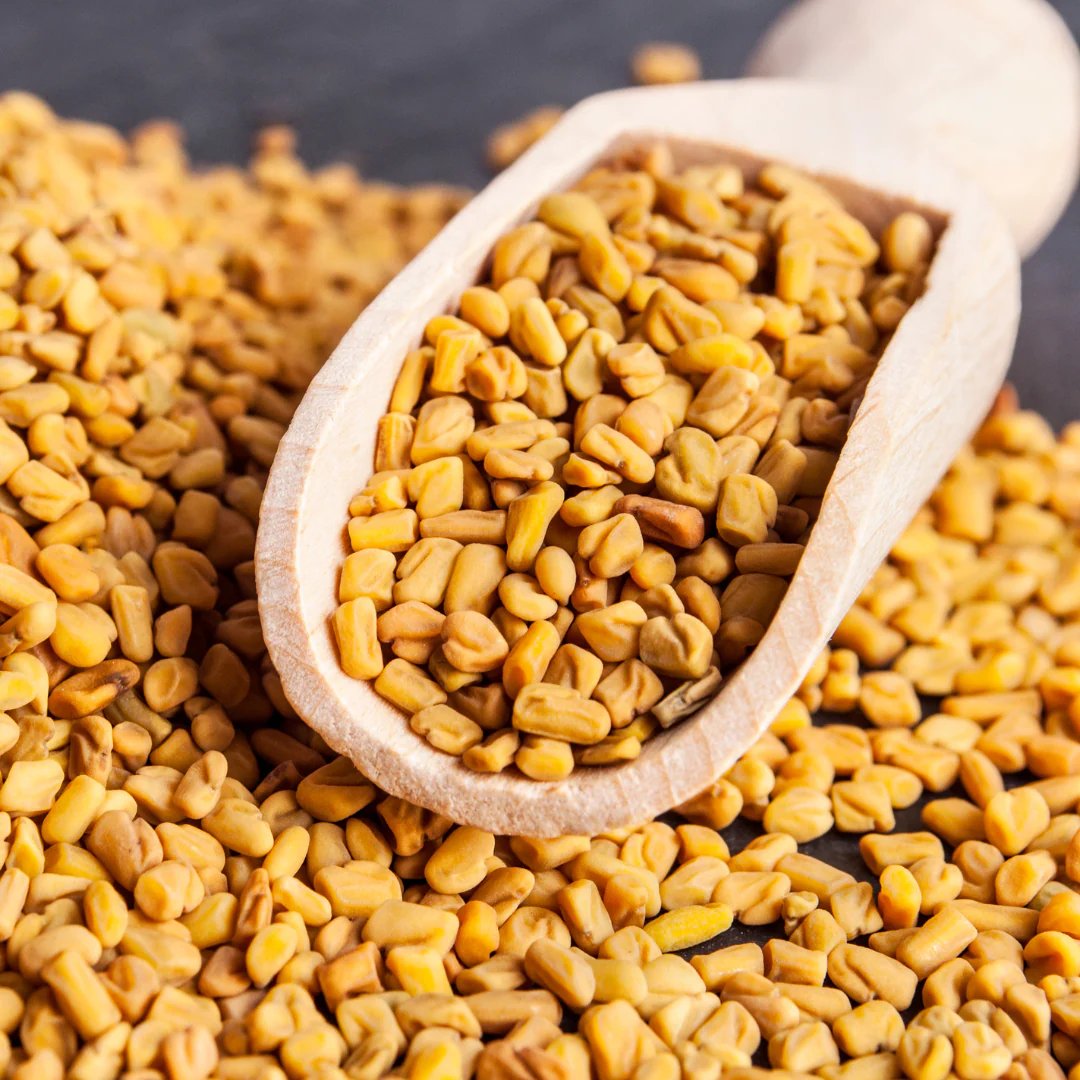 Fenugreek Seeds - Dev Tandoor Industries